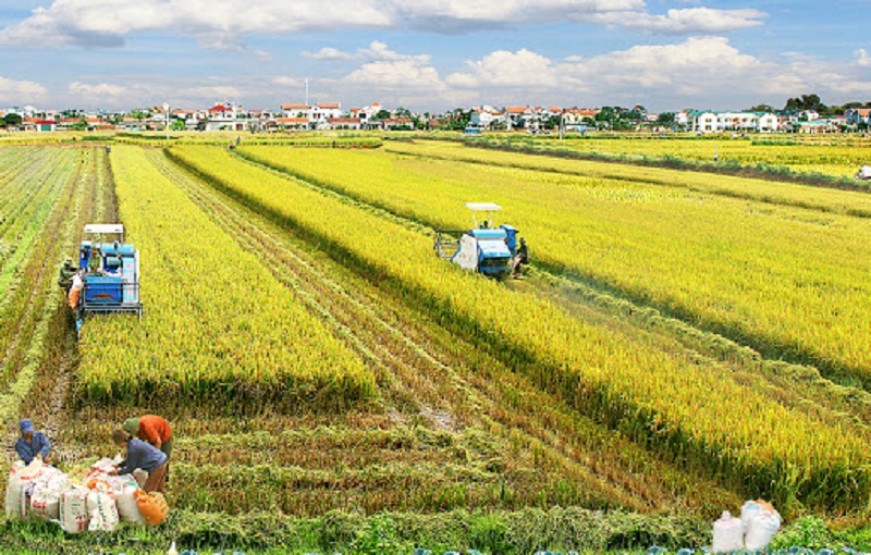  Điều kiện phát triển việc làm tại An Giang