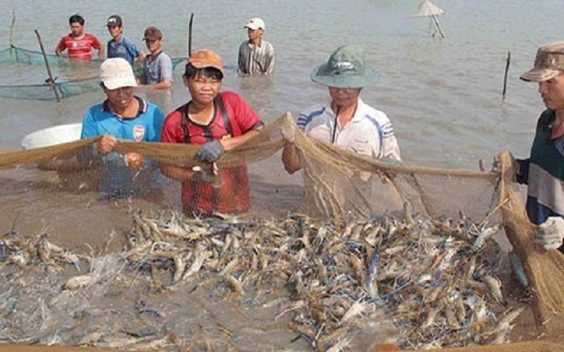 Các ngành nghề phát triển tại An Giang