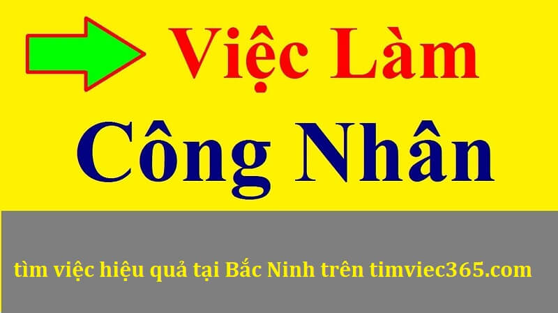 Nhu cầu tìm việc làm theo ngành nghề tại Bắc Ninh