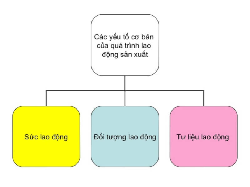 ví dụ về ngành sản xuất trồng trọt