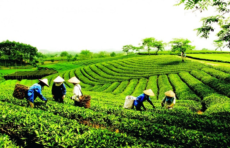 Những xu hướng tìm việc làm ở Lâm Đồng mới nhất