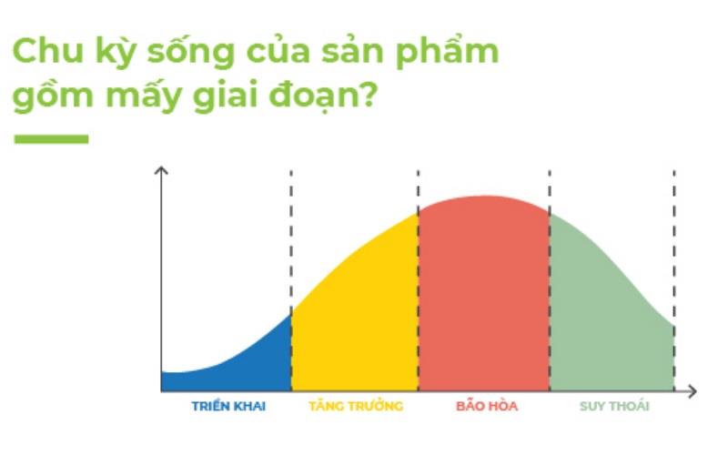 Khám phá chu kỳ sống của sản phẩm và ý nghĩa của chu kỳ này